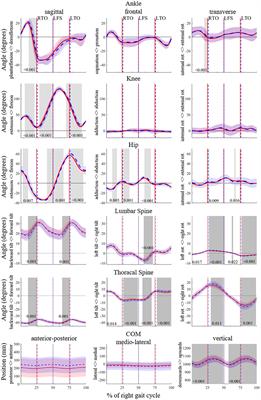 Corrigendum: Fatigue-Related Changes in Spatiotemporal Parameters, Joint Kinematics and Leg Stiffness in Expert Runners During a Middle-Distance Run